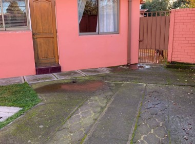 IMG_6464(FILEminimizer)